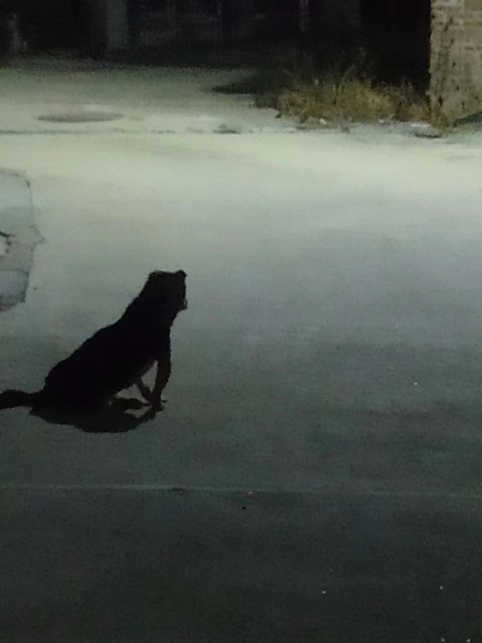 pic